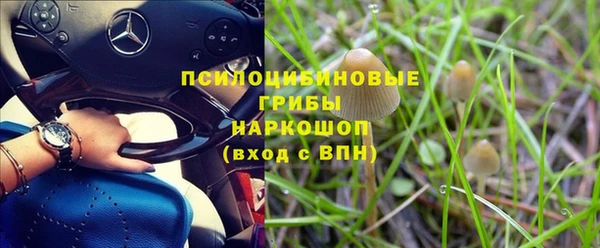 PSILOCYBIN Волоколамск